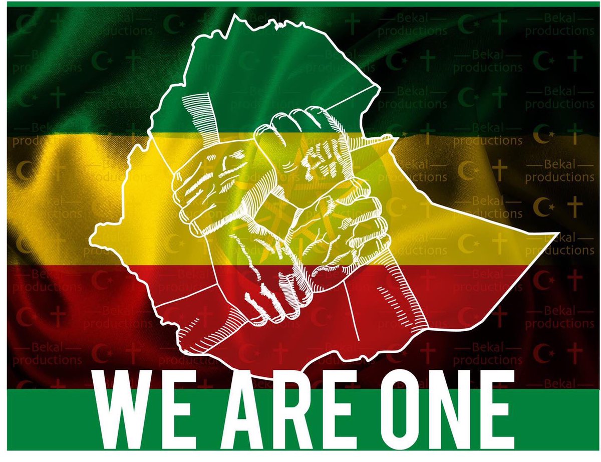 When I went to more than 30 countries like Japan,South Korea, Norway,Mexico,Israel and other places to help Ethiopians in difficulty,I did not care about ethnicity,religion,skin color,gender or some other distinctions.They were fellow Ethiopians&precious human beings in distress.