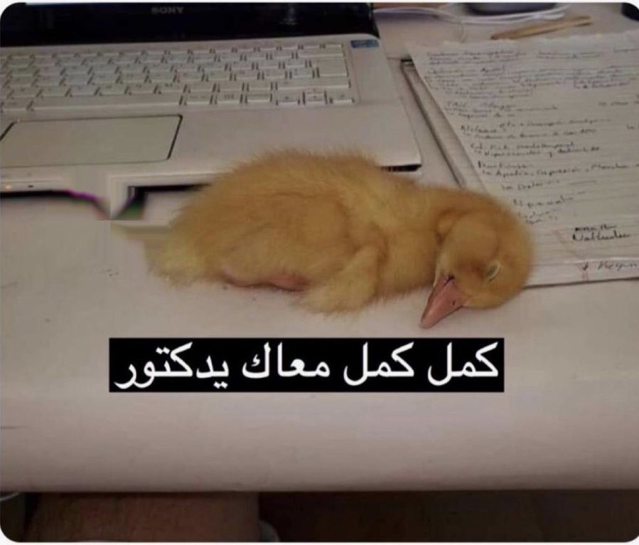 msstol's tweet photo. محاضرة الساعه ٨ : https://t.co/hr7UjsUQhq