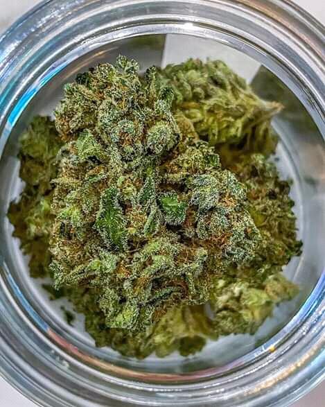 Picked up ghost haze XG6 nugs and the effects are kicking in.
Watch out this crazy trap
It's getting shit done today