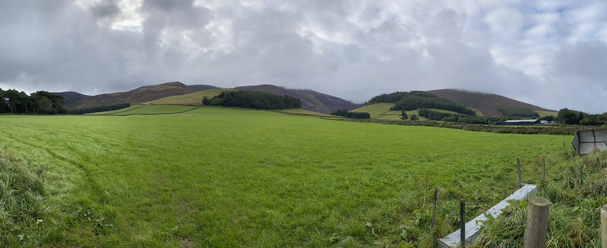 ScotRuralLeader's tweet image. Just love where I’m lucky enough to live, and the bonus is it lets us produce the best quality Scotch Lamb PGI #LoveLambWeek #meatwithintegrity #makeitscotch