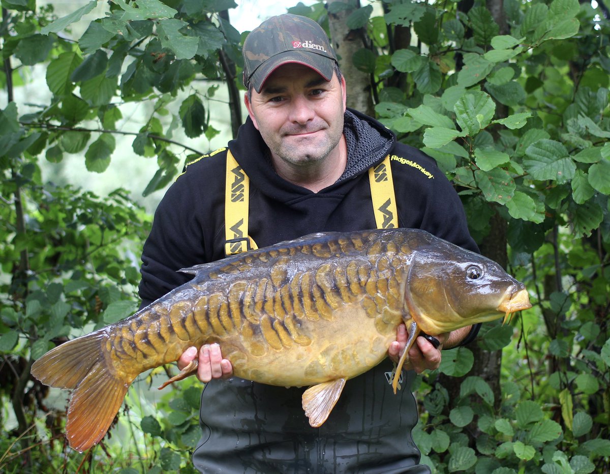 littleE70's tweet photo. Scaley banger caught while packing up. Tigernut hookbait fished over @MainlineBaits cell &amp; chopped tigernut spod mix https://t.co/h76uLhH5EN