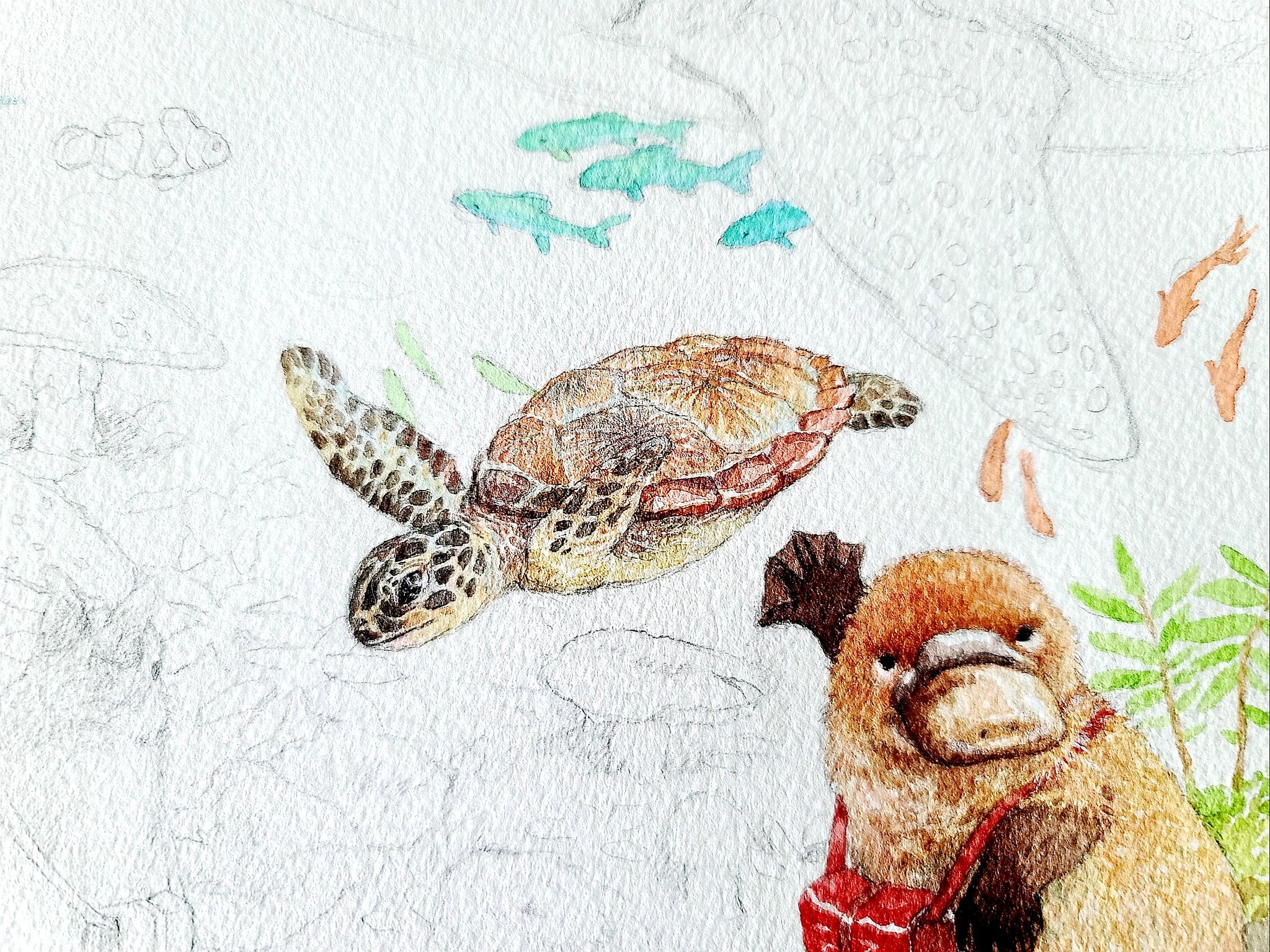 まなつとまふゆ 名古屋クリマk13 イラスト 水彩イラスト 水彩画 水彩 イラストレーション 水彩アート イラストレーター 猫 水族館 オウム貝 Aquarium Illustration T Co Igcnkawkyq Twitter