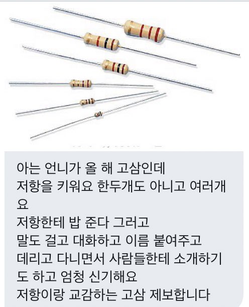 lhsqz's tweet photo. 저항을 키워요 https://t.co/L8DMRd49Wj