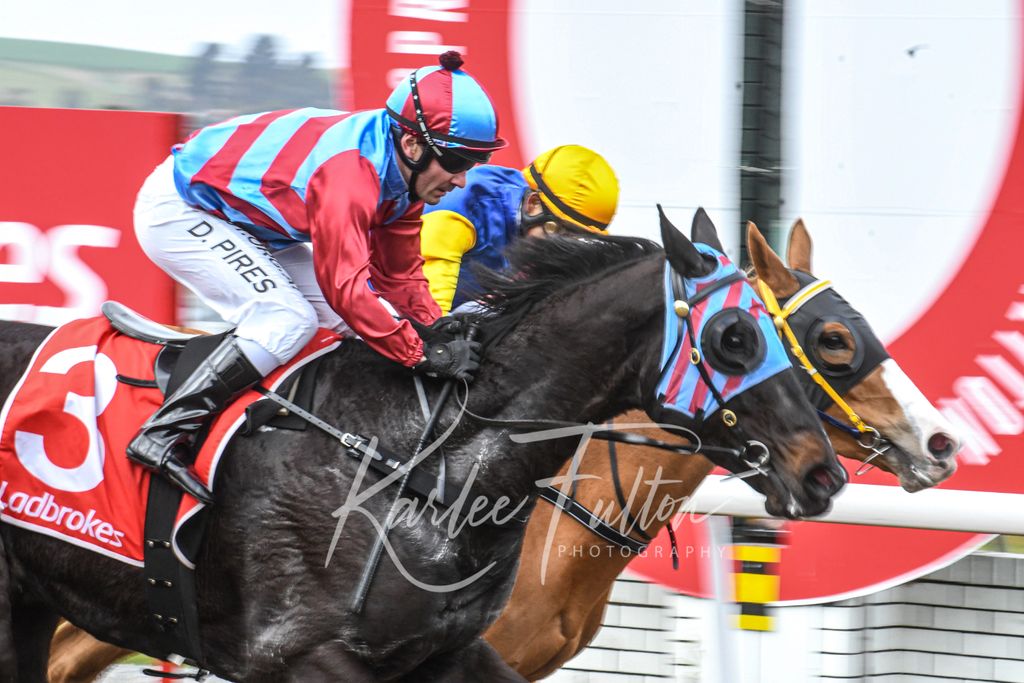 Race 3 at Devonport 
Goodstone Group Maiden (1350m) 

Winner : TEE JAY FRANKIE 
Trainer : S.Gandy 
Jockey : D.Pires
