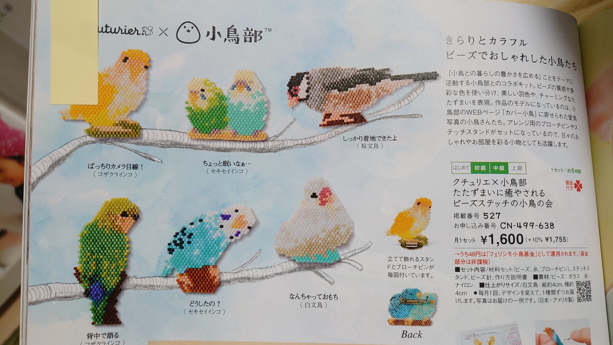 ট ইট র えみち刑事 我が家のセキセイインコのルータン クチュリエのビーズステッチの図案モデルに選ばれました フェリシモ小鳥部 クチュリエ セキセイインコ T Co Jloeskzqhm ট ইট র