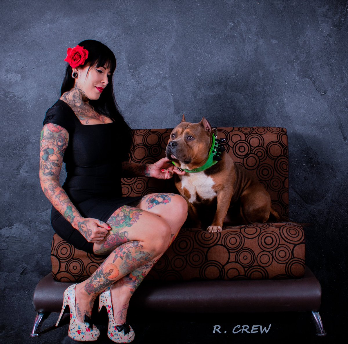 eventurm's tweet photo. La elegancia de una dama y la finura del #RcrewChino 
#AmericanbullyChino #R_Crew #Rcrew #Matonamericano #bullylife #Abkc #Realamericanbully #toroblood #hijodeBroker #Americanbully #bullylive https://t.co/bu6dJCRZ8a