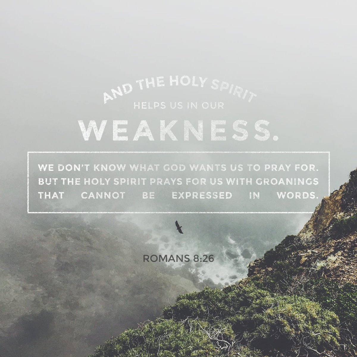 bible.com/1/rom.8.26.kjv