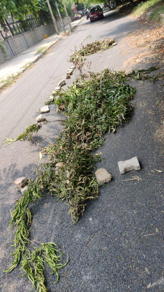 Karamvir Anil Parashar (@anilparashar21) on Twitter photo Service road caving in. This is how barricading done?No visible action despite attention drawn two weeks ago.I hope authorities <a href="/official_dda/">Delhi Development Authority</a> <a href="/DelhiJalBoard/">Delhi Jal Board</a> <a href="/OfficialSdmc/">. </a> <a href="/rameshbidhuri/">Ramesh Bidhuri</a> will wake up.Location plot no 10 sector 7 Dwarka Delhi.<a href="/TOIDelhi/">TOI Delhi</a> It was shared in ur program. Service road caving in. This is how barricading done?No visible action despite attention drawn two weeks ago.I hope authorities <a href="/official_dda/">Delhi Development Authority</a> <a href="/DelhiJalBoard/">Delhi Jal Board</a> <a href="/OfficialSdmc/">. </a> <a href="/rameshbidhuri/">Ramesh Bidhuri</a> will wake up.Location plot no 10 sector 7 Dwarka Delhi.<a href="/TOIDelhi/">TOI Delhi</a> It was shared in ur program.