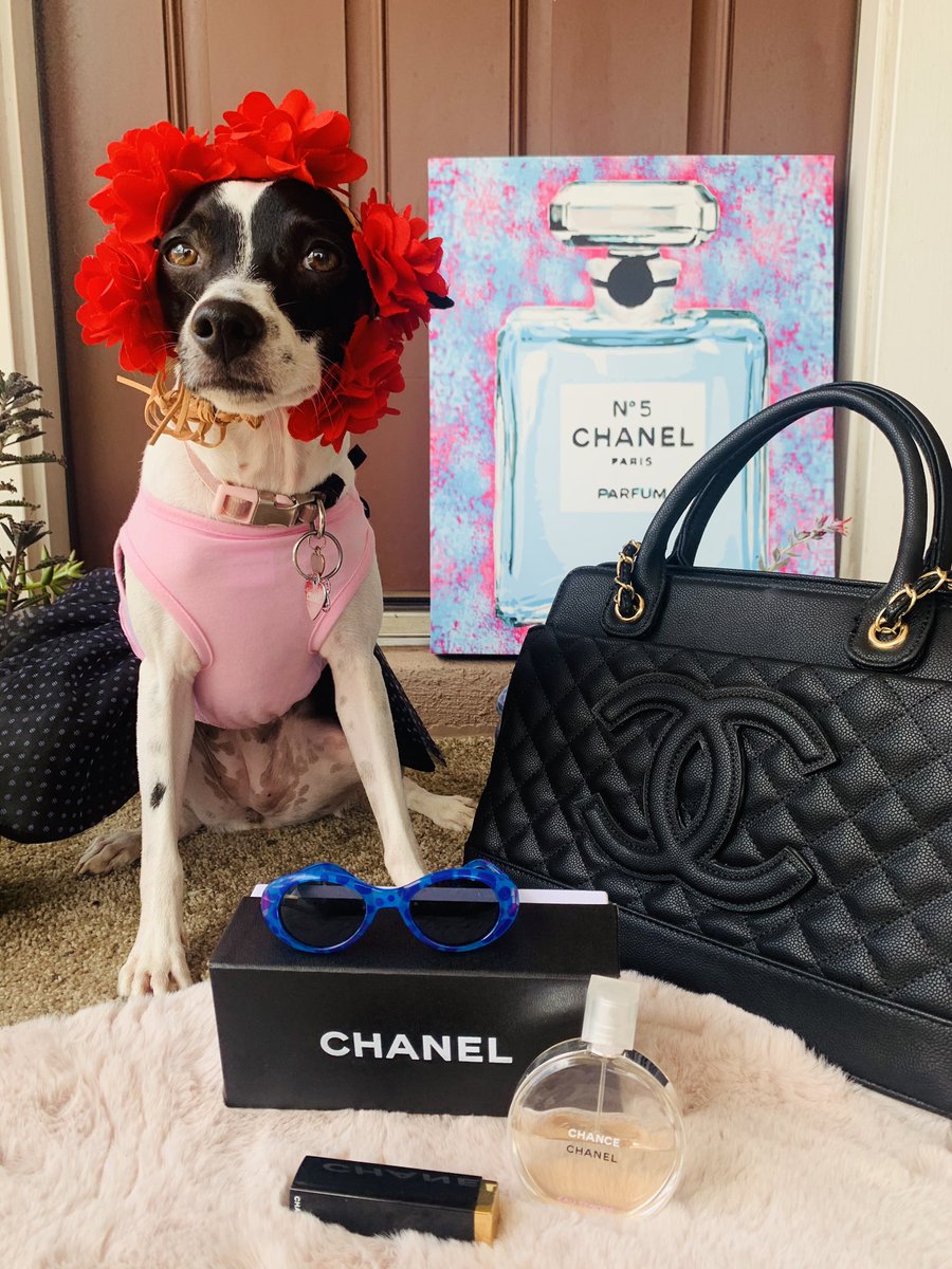 marcelazabe's tweet photo. CHANEL #chanel #CHANEL #bychanel https://t.co/ATU8eEhZY2