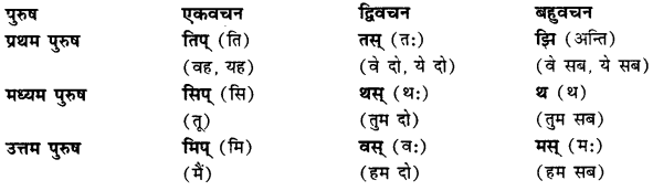 4. तिङ् Suffix will replace ल् (तिङ् Suffixes are defined by Panini these suffix tell wether word is in First person,third person etc or the word is in singular, plural or dual)