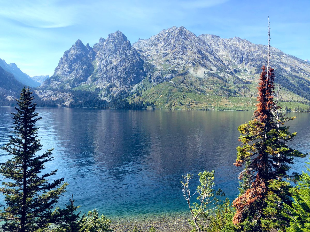 divyabahl's tweet photo. #postcardviews up in Grand Teton. 10 mile hike done and done ✅ https://t.co/YEI4KLsIEk