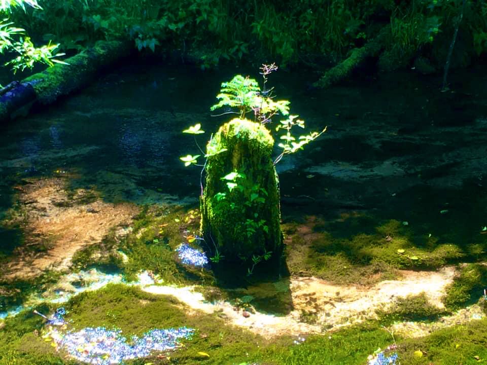 onerun888's tweet photo. 去年のこの日は上高地にいたようです。 https://t.co/xVBrl26WmZ