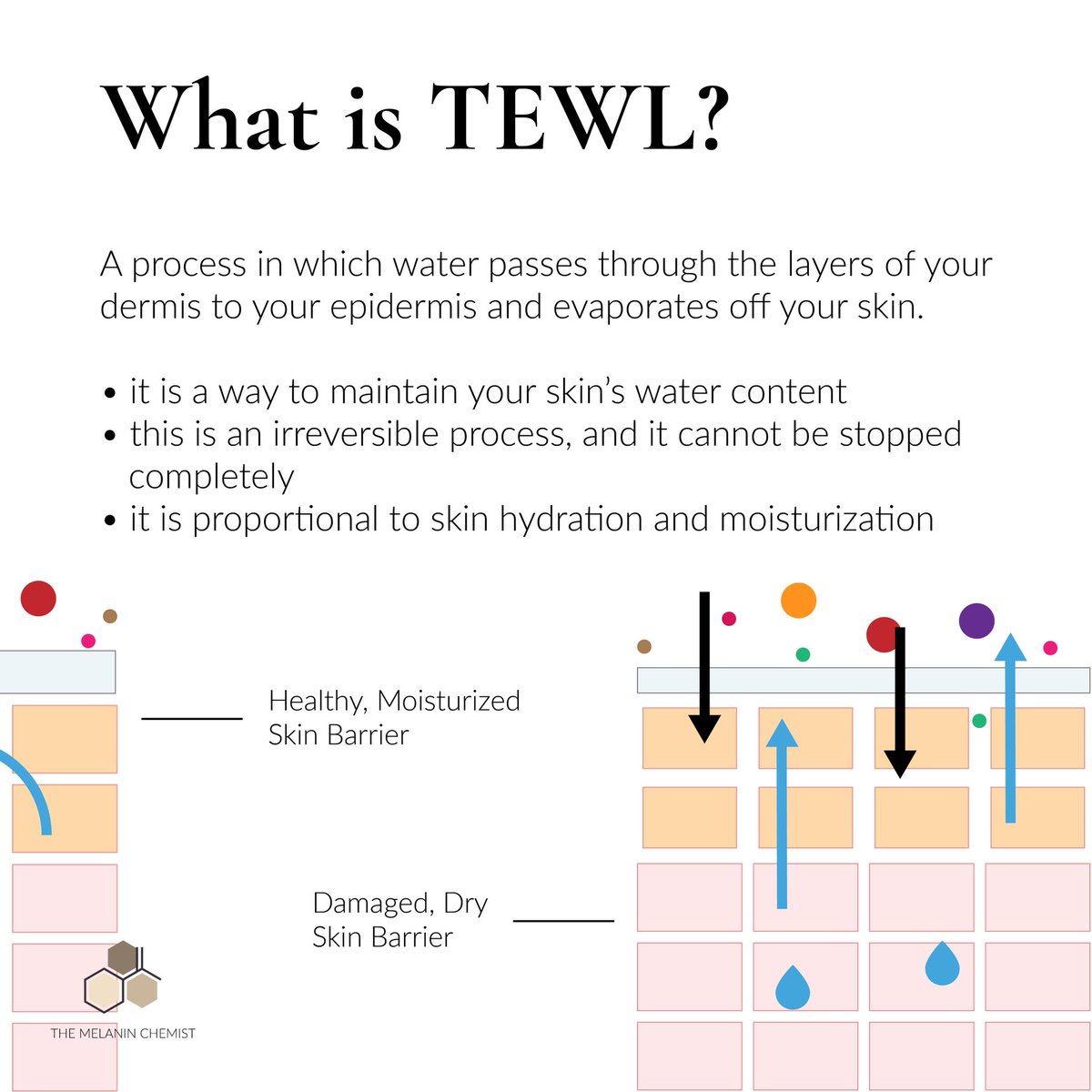 Okay SO you’ll see in cosmetic journals or articles about water loss. So what the heck is it. TEWL also stand’s for transepidermal water loss! It’s when water in your dermis goes through all of your epidermis and evaporates off the surface of your skin! IT IS SUPER IMPORTANT