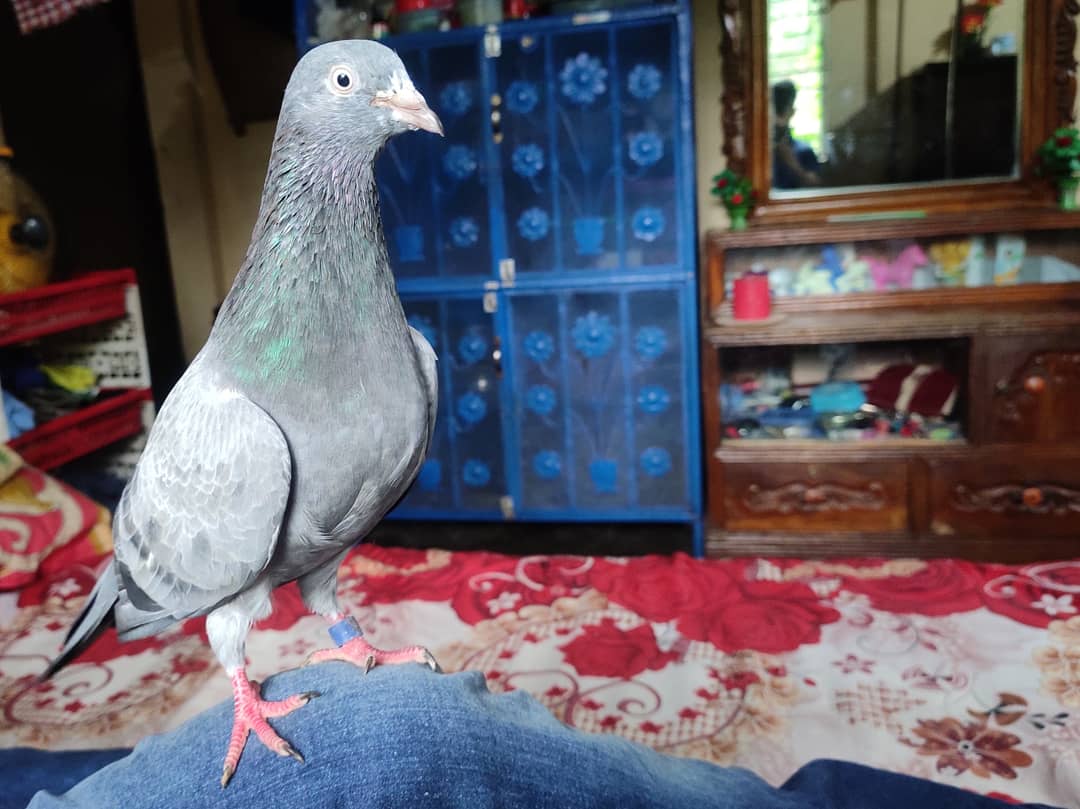 SamShykat's tweet image. ❤❤❤