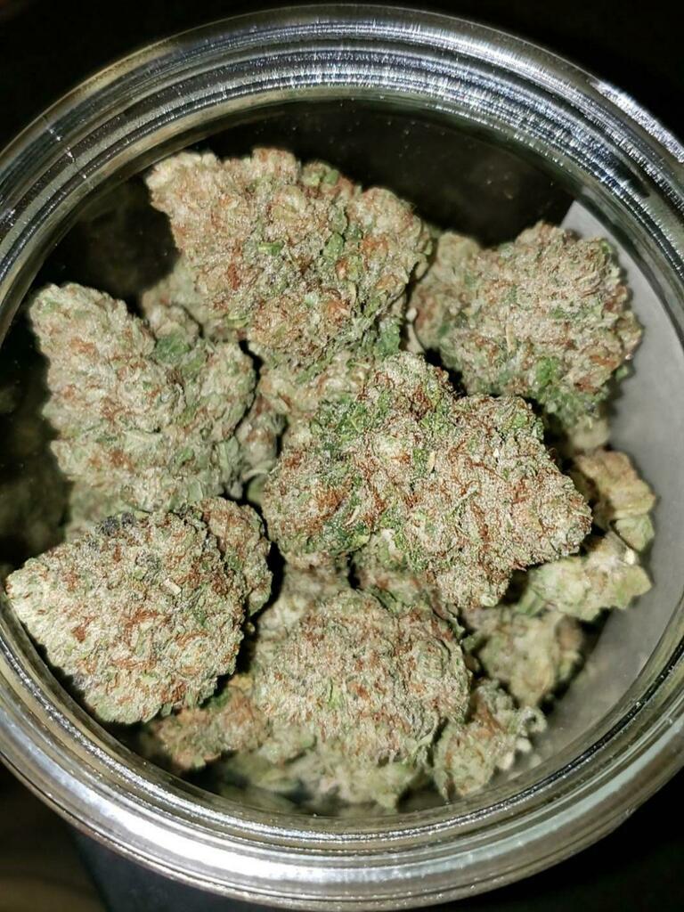 WeRTrippyHippy's tweet photo. Some gelato I picked up earlier this week https://t.co/Y37xdGG64J