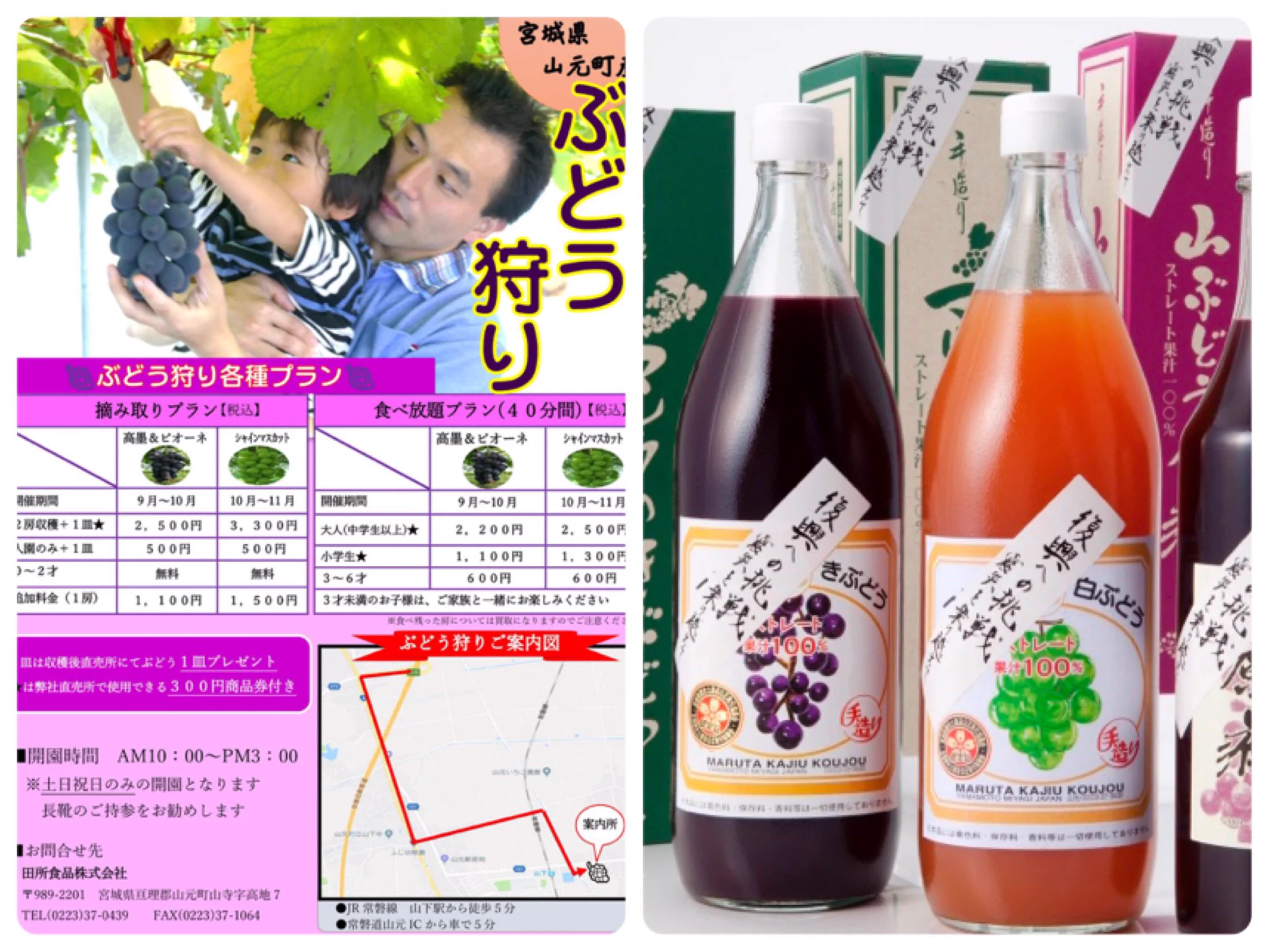 @niconicholson 山元町でぶどう栽培復活ですよー。そして子供の頃よく飲んだ田所食品のぶどう液ですw 