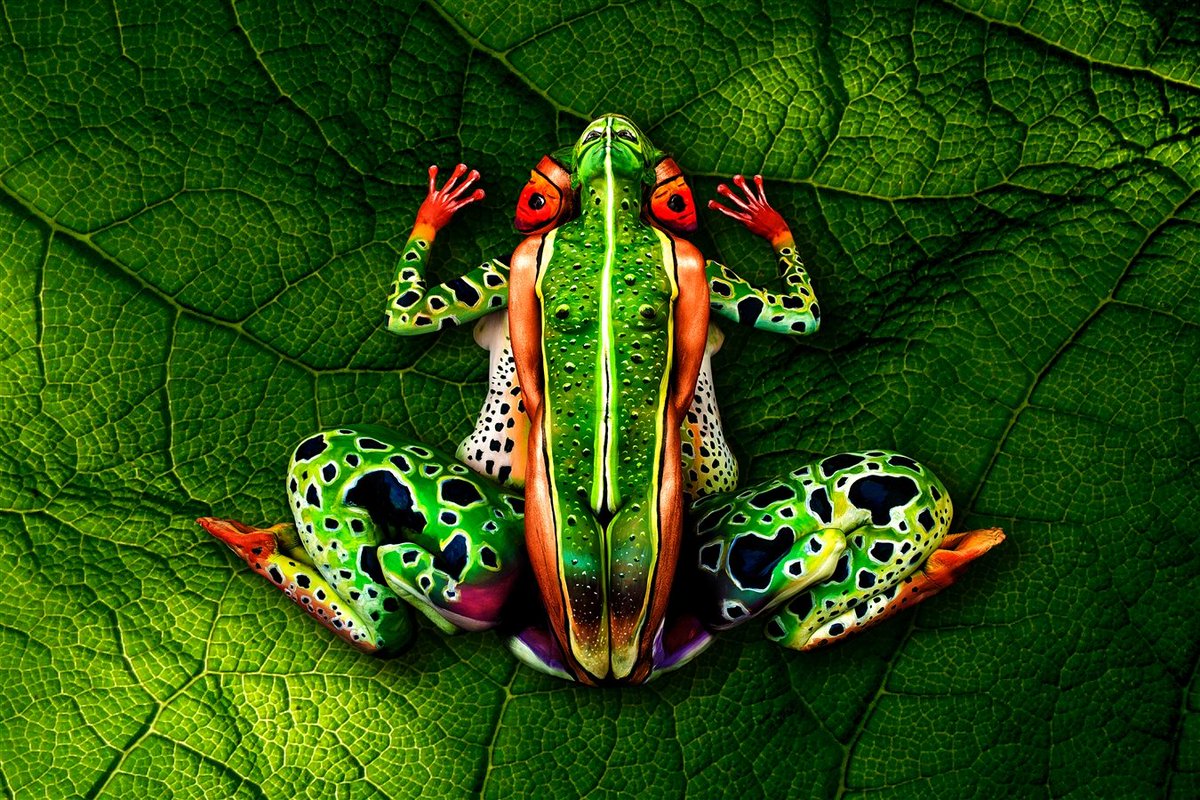 5. Johannes Stötter, Italian body painting artist known for transforming human bodies in animals. (zoom in, find the bodies)