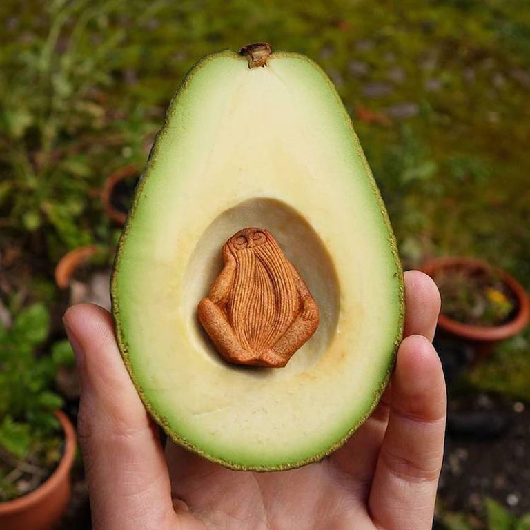 10. Jan Campbell, Irish artist who craves avocado seeds craves them into magical little sculptures