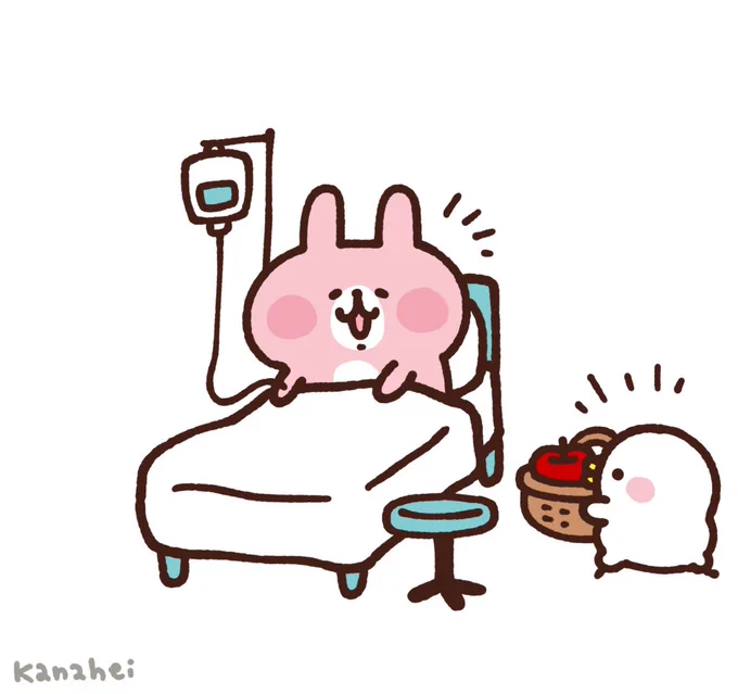 お見舞い 