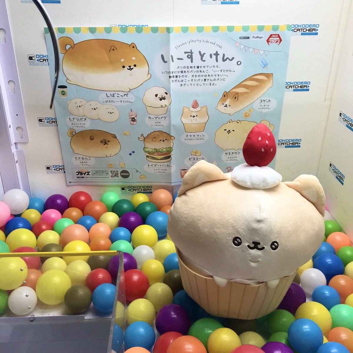 クレーンゲーム どこでもキャッチャー 公式 おすすめブース情報 163 いーすとけん チママフィン と カップパグ ｂｉｇぬいぐるみ どこでもキャッチャー はこちら T Co Sw4zolb4s5 アプリ版ではブース番号で遊びたい