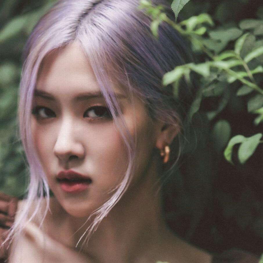 rosélea tweet media