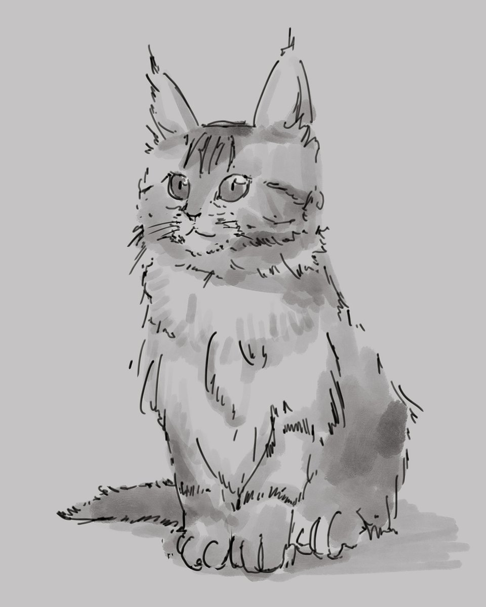 theteatom's tweet photo. quick cat study https://t.co/kGJ3qzuPA2