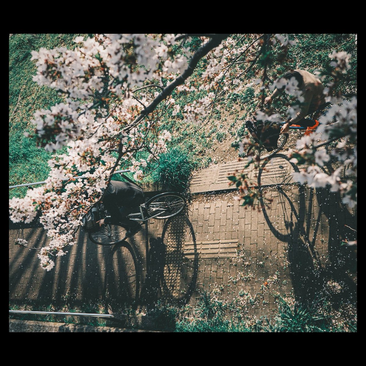 OonoTity's tweet photo. 【 #通り過ぎたなんでもない毎日 】
・
・
・
#なんてことのない写真 #黄色計画 #千葉 #fuji_xseries #galaxynote9 #vscocam #japan #japan_photo_now #写真好き #写真好きな人と繋がりたい #reco_ig #snap #snapshot https://t.co/Jn5AwRtW7t