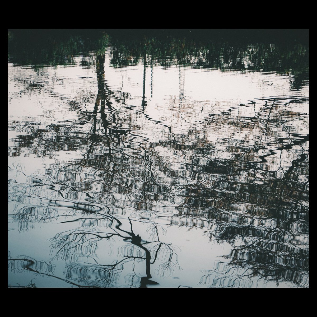 OonoTity's tweet photo. 【 #通り過ぎたなんでもない毎日 】
・
・
・
#なんてことのない写真 #黄色計画 #千葉 #fuji_xseries #galaxynote9 #vscocam #japan #japan_photo_now #写真好き #写真好きな人と繋がりたい #reco_ig #snap #snapshot https://t.co/Jn5AwRtW7t