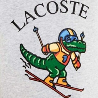 lillynbc's tweet photo. Djokovic's stuff Ski+aligator ... Coisas do Djoko... colocar um jacaré esquiando... Ski was my sport. So???? #ski #rosalyqueen @lillynbc #Lacoste #Djokovic #covid19 #fashion https://t.co/apcDnQfJah