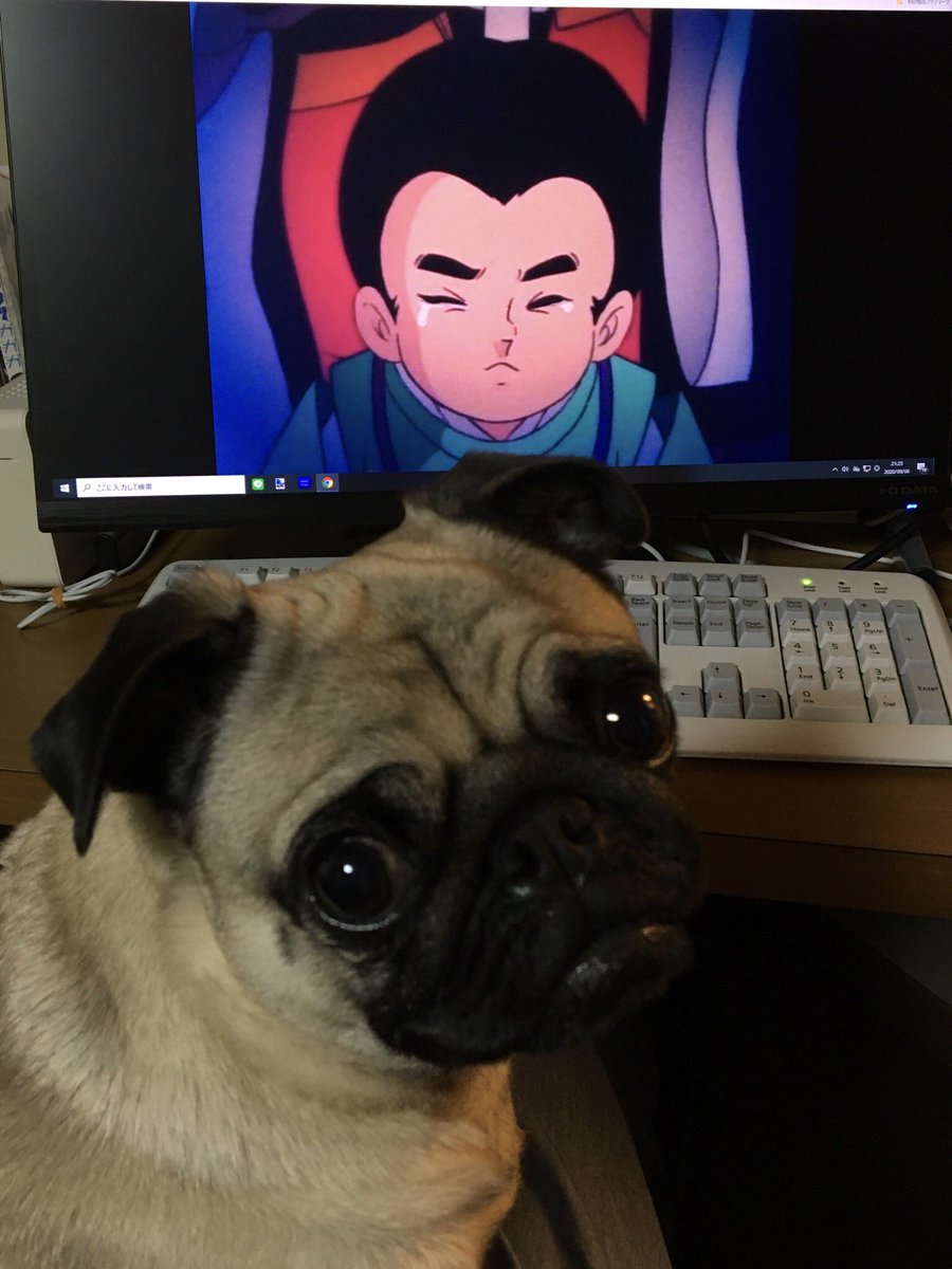 一休さんが血まみれの重傷でとんちを披露する傑作回 Togetter 一休さんが血まみれの重傷でとんちを披露する傑作回 Togetter