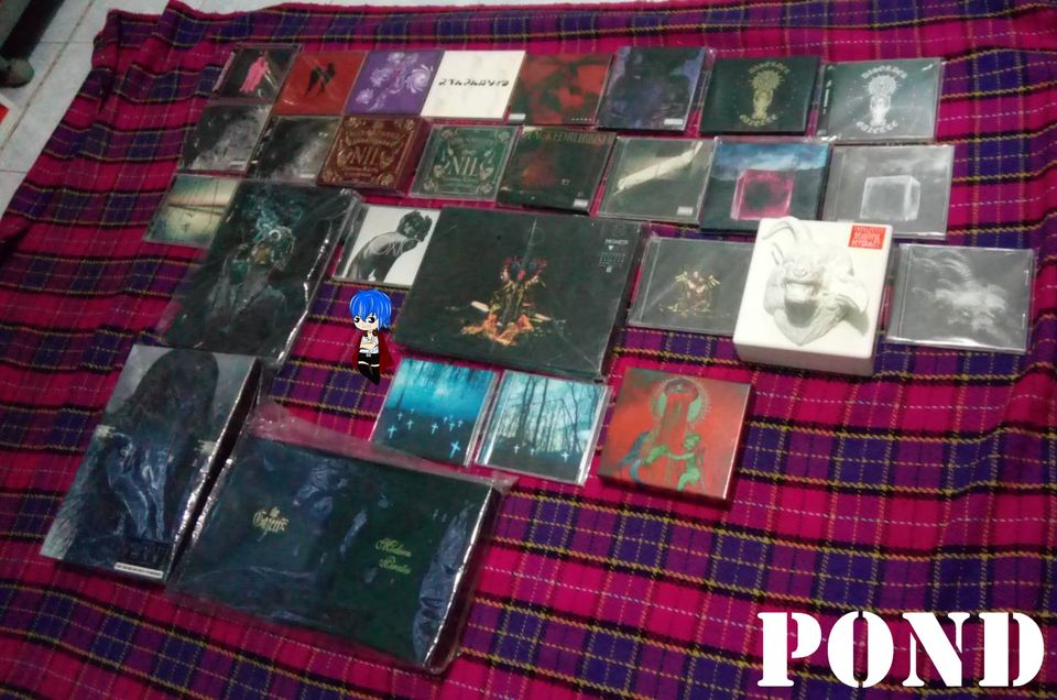 Pond Rock N Roll tweet media