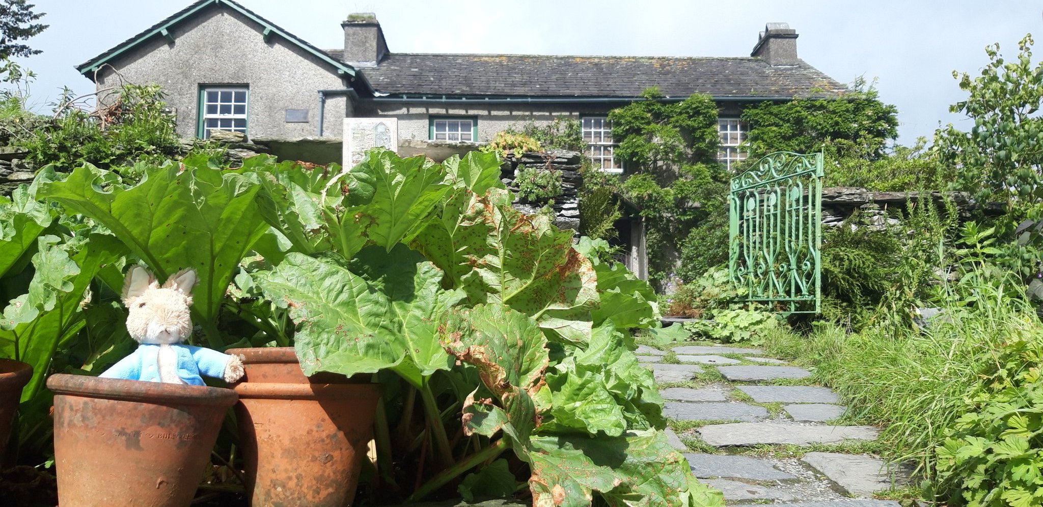 Jane ridgway on Twitter: 