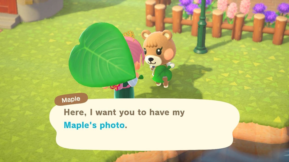 islanderIsabel's tweet photo. finally got her picture! https://t.co/7zhXrEg2Wb