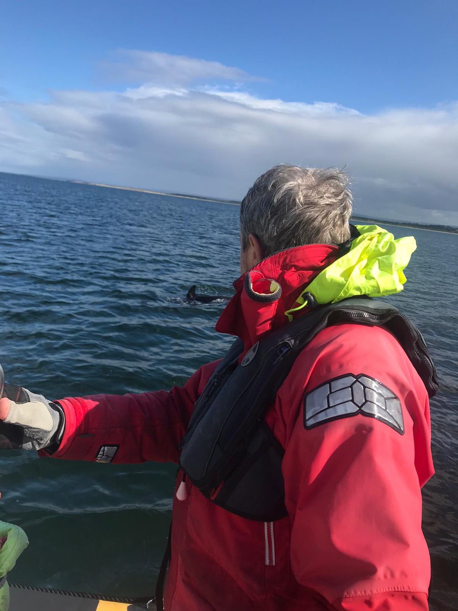 A new potential profile pic for John