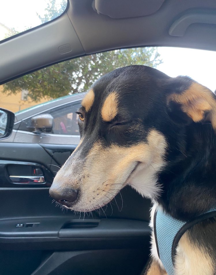 manita ansızın güzelim dedi