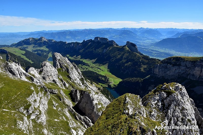 appenzellerlink's tweet photo. Alpstein at its best - Blumen, Gipfel, Seen, Beizen #Enzian #Edelweiss #Bollenwees #Hundstein #Wandern #Alpstein https://t.co/uikaeNYnh1