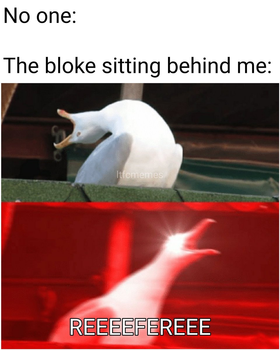 ltfcmemes's tweet photo. https://t.co/H9lUlWY4H1