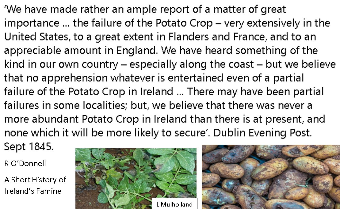 6 Sept 1845: Blight publicly reported in pages of Dublin Evening Post. "At first it did not appear as if the scourge known to have caused severe problems in North America, the Continent & parts of England, would reach Ireland"! Ruan O'Donnell. The Dublin report didn't believe it!