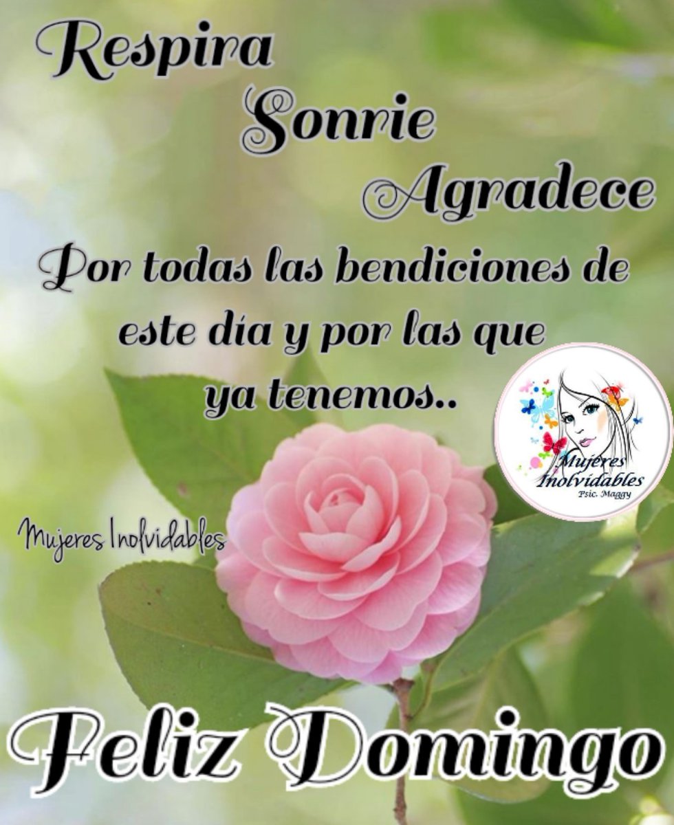 IsidroMargaret's tweet photo. Holaaaaa 💖💖💖💖💖
Un domingo maravilloso para todos y cargado de bendiciones 🙏👍🙋🌎💞
Les envío un fuerte abrazo de ❤️ desde mi tierra Tabasqueña 🇲🇽 México 😘🌻🌹🌷🤗☕☕😉😘
#FelizDía🌎
#ViveHoy
#AnimoYFe https://t.co/TuSjYoOcZC