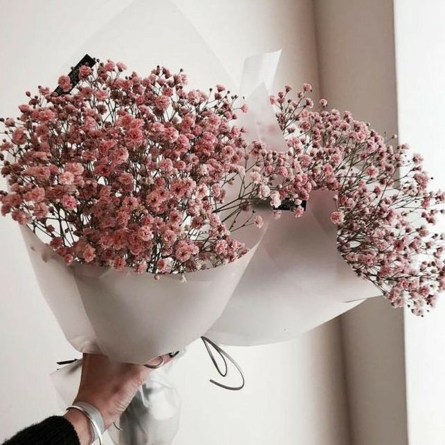 zaimnajwa's tweet photo. Help me choose ♥️
  
RT for baby breath               LIKE for rose https://t.co/PaDIsNvEg2