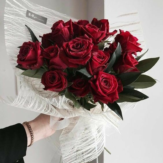 zaimnajwa's tweet photo. Help me choose ♥️
  
RT for baby breath               LIKE for rose https://t.co/PaDIsNvEg2