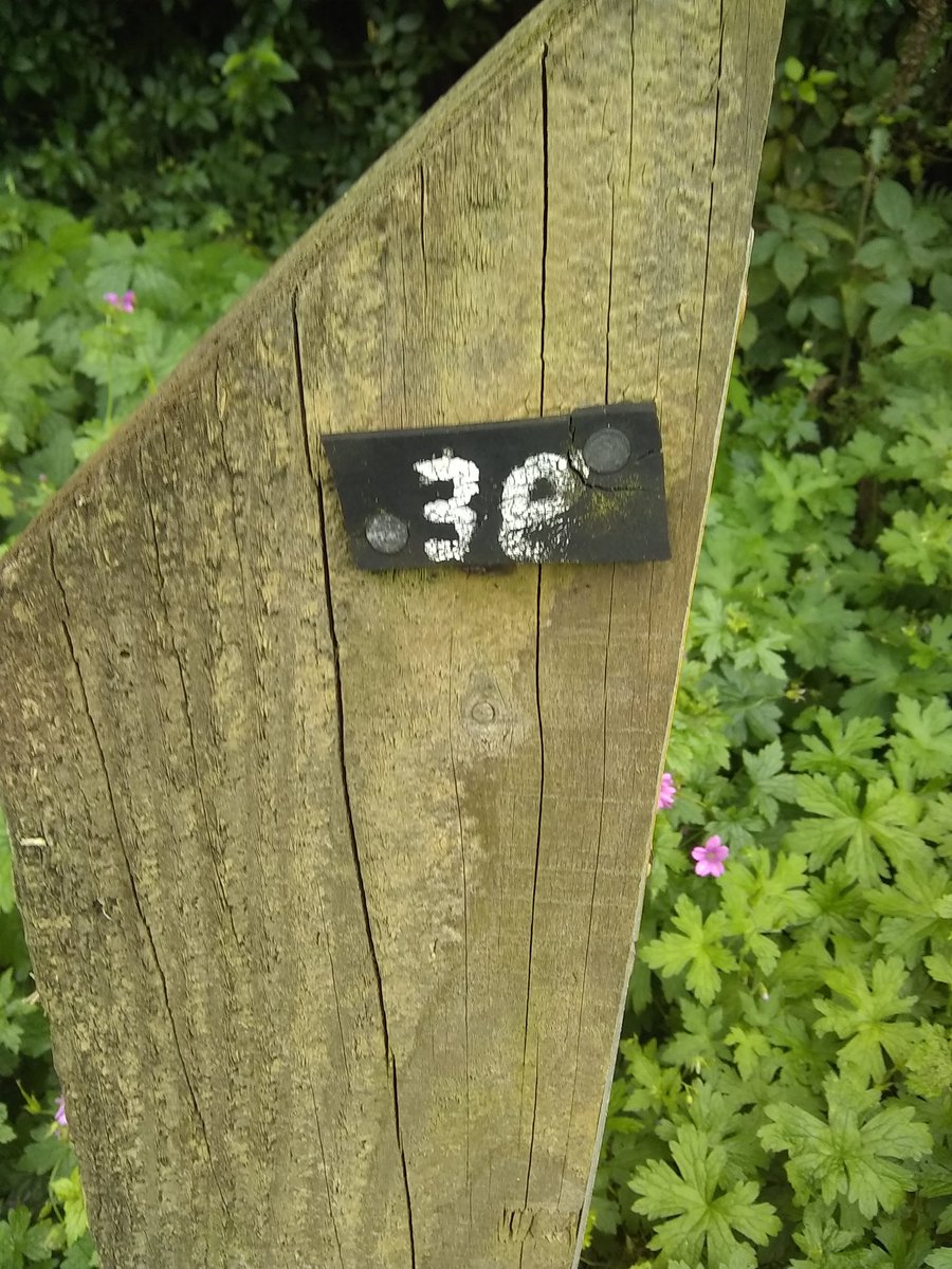 BainbridgeD1's tweet photo. So I haven't been posting but #Bingo #Numberwalks have been ongoing around @ChorleyCouncil three and eight 38 (Christmas Cake - start soaking that fruit) https://t.co/ATDjDmVBwk