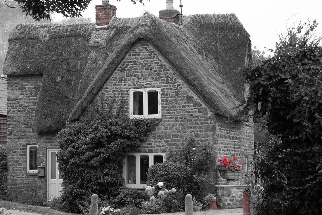 BurfieldWallis's tweet photo. Thatched cottage in black and white with red flowers as a stunning and beautiful contrast.
For my portfolio https://t.co/nP2fHhn1Od
#cottage #blackandwhite #blackandwhitephotography #red #flowers #rural #ruralphotography #contrast #contrastphotography #contrastingcolors #home https://t.co/wDH70Kz2K5