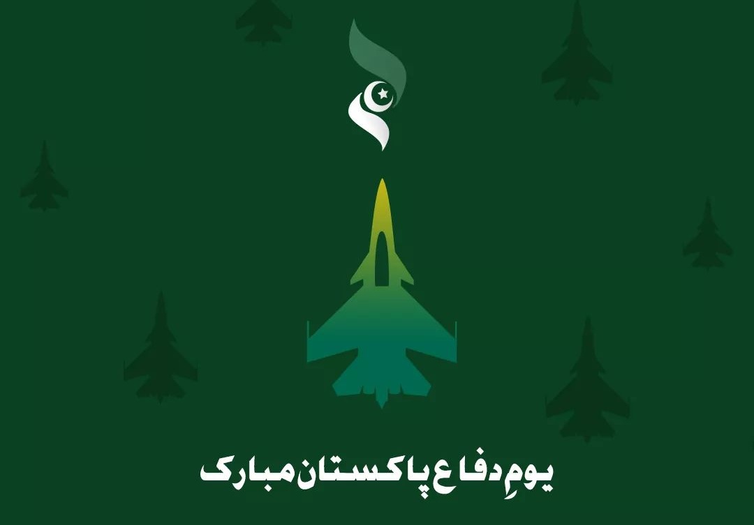 faiza_rafeeq's tweet photo. Salute to martyrs who sacrificed their lives for the defence of our country. 🇵🇰 
#DefenceDay2020 #PakistanZindabad ✊🏻💚 https://t.co/5Fiiyh3REz