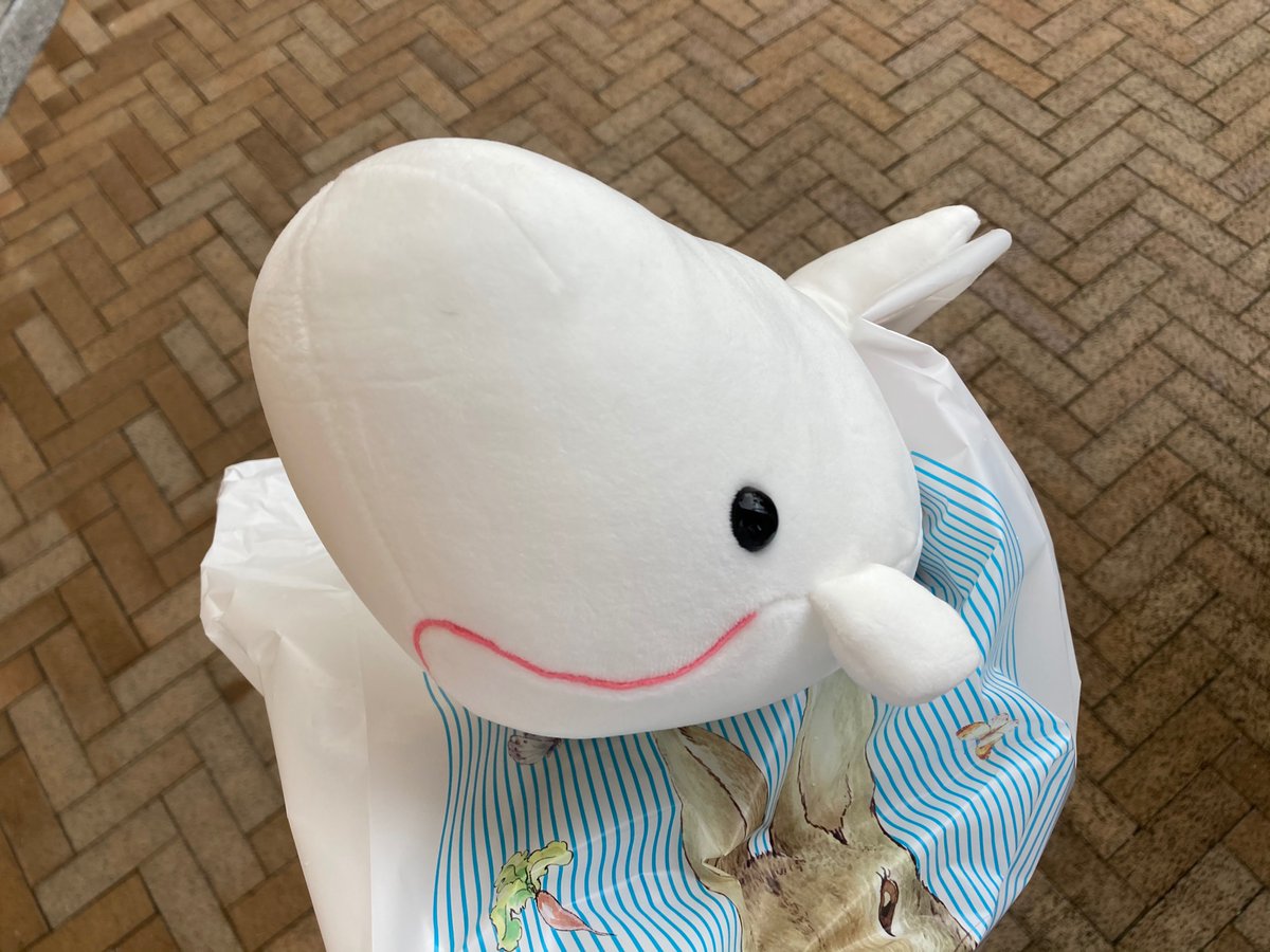 南大阪の凡人 ナガシマスパーランドの 白鯨一番くじ大惨敗 南大阪の凡人 ナガシマスパーランドの 白鯨一番くじ大惨敗
