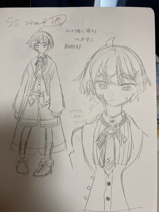 SS学園用にこんな子を考えてるんだけど、どうかなあ?
擬人化ではなく猫っぽい子です笑 