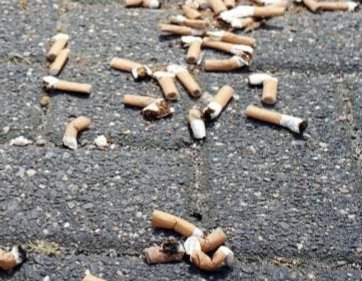 ArjanVermeulen1's tweet photo. Gisteren vond Actie #PeukMeuk plaats 🚬

In heel Nederland verwijderden vrijwilligers meer dan 100.000 peuken uit de openbare ruimte

Gisteren stond #butt centraal.
Vandaag kunnen we weer verder met 't oprapen van die andere Bud

@SvVeldhoven, wanneer komt er #statiegeld op blik? https://t.co/AF0v8flJ95