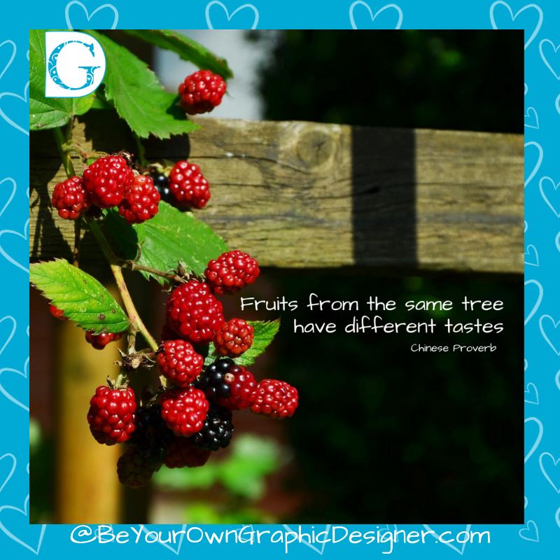 BYOGD's tweet photo. "Fruits from the same tree have different tastes" - Chinese Proverb

#BYOGD #DesignwithCCC #SeptemberQuotes https://t.co/8pw5c8cSWB