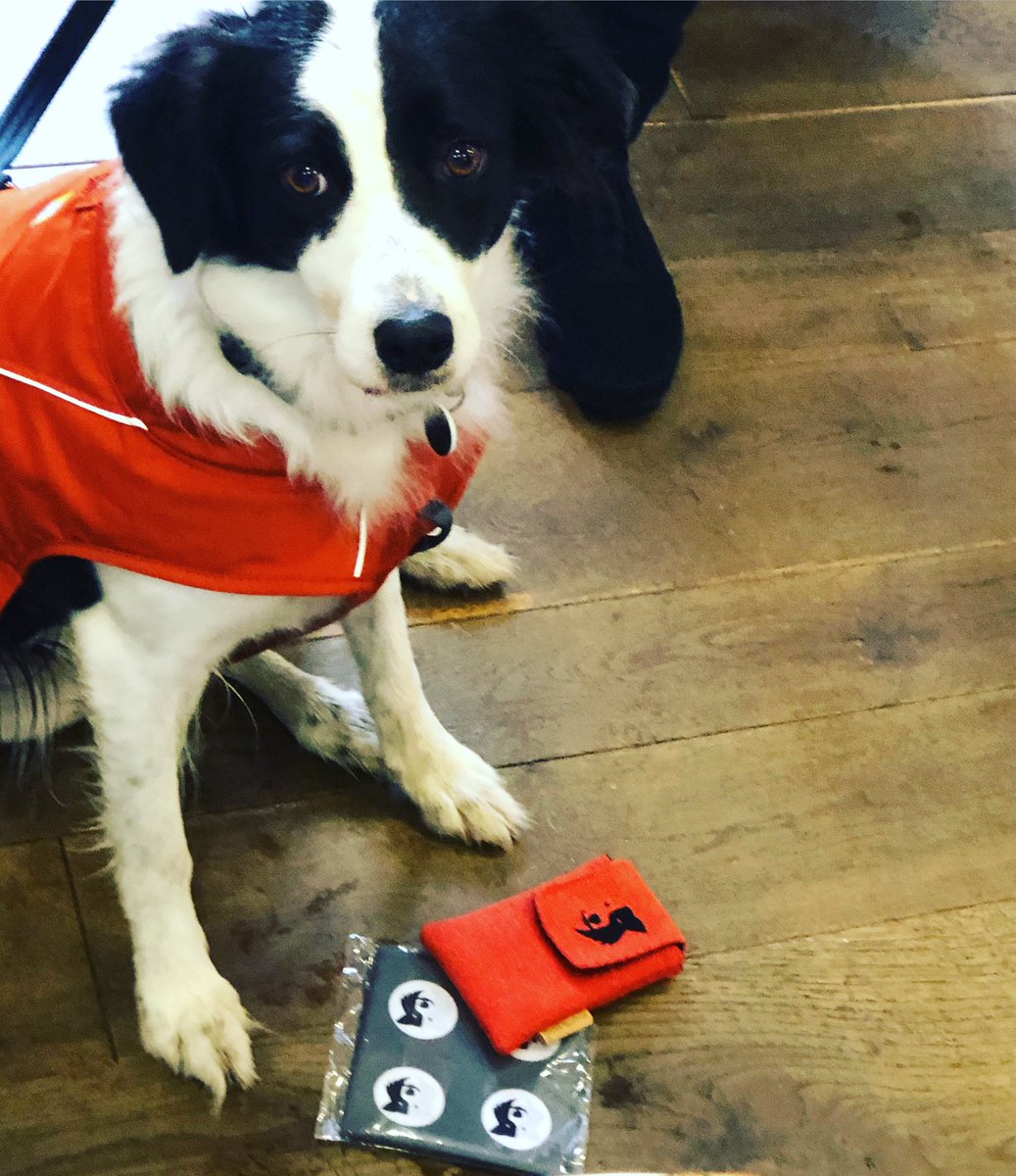 zakthecolliedog's tweet photo. We got to meet the lovely Molly. She was rescued 3 years ago, very alert when out & about but a relaxed lazy sausage when in the safety of her own home! โฅ๏ธ Hope your folks like my lovely recycled buff & my new #harristweed #poobagholder by @SewCanSue
https://t.co/oPHDvOY4Te https://t.co/jwQQt5ZAl3