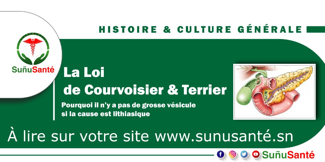 sunusante_sn's tweet image. La loi de Courvoisier &amp;amp; Terrier: Pourquoi il n’y a pas de grosse vesicule si la cause est lithiasique ?

Pour plus d&apos;informations, article disponible sur : 
sunusante.sn/2020/09/05/le-…